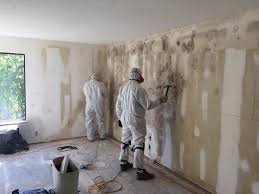 Best Asbestos and Lead Testing During Mold Inspection  in Barton Creek, TX